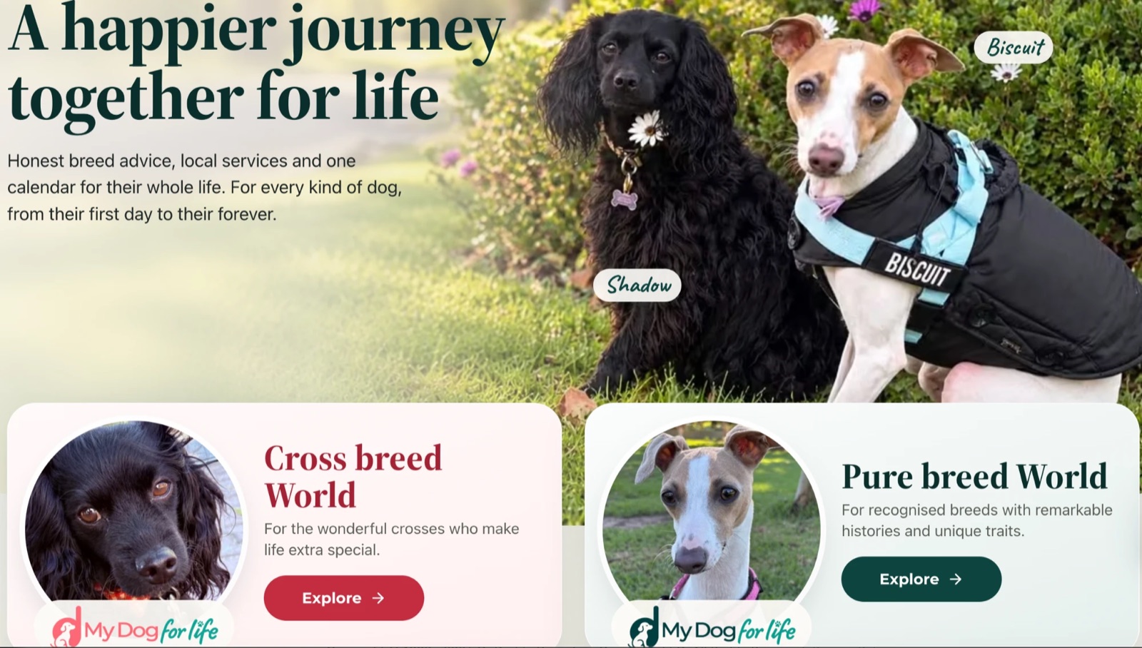 The My Dog for Life home page: the headline &lsquo;A happier journey together for life&rsquo; beside a photo of two dogs, with Cross breed World and Pure breed World entry cards below.